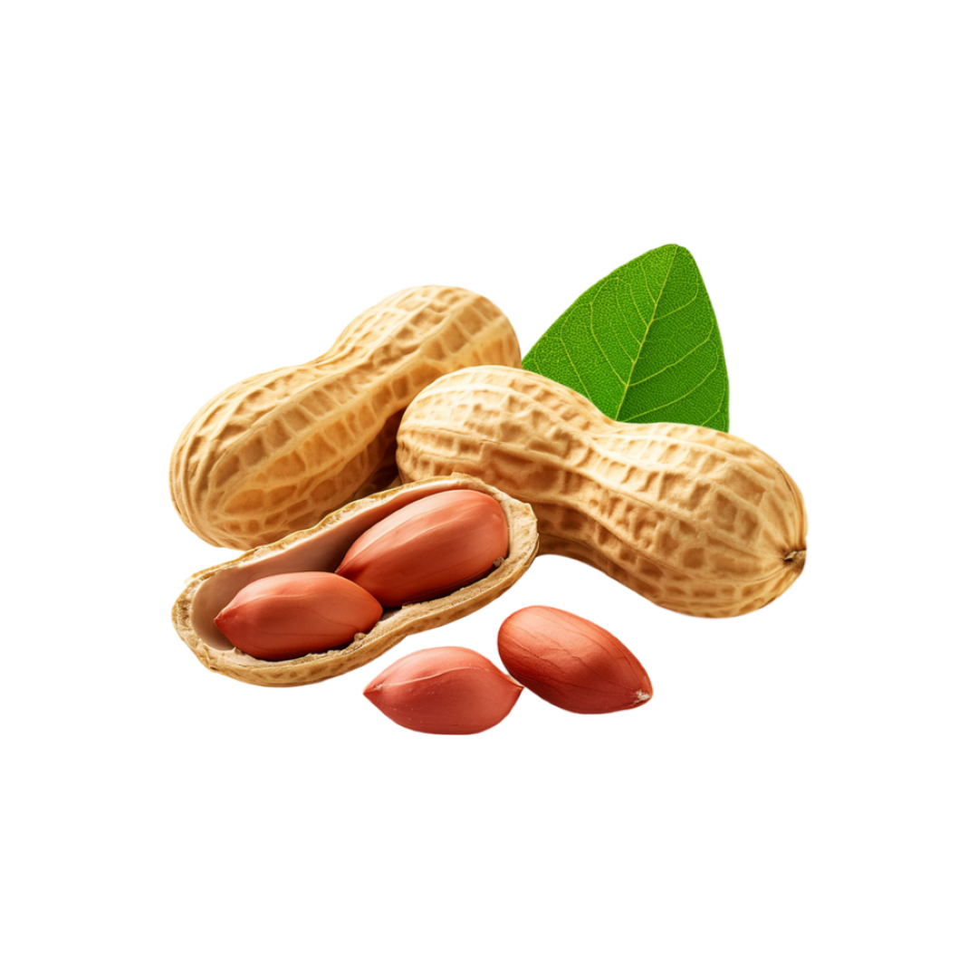 FRESH PEANUT